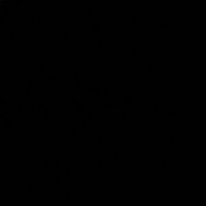 Meet your Posher, Averi